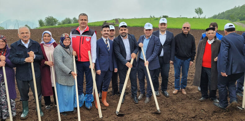 Akkuş Şeker Fasülyesi Ekimi Başladı