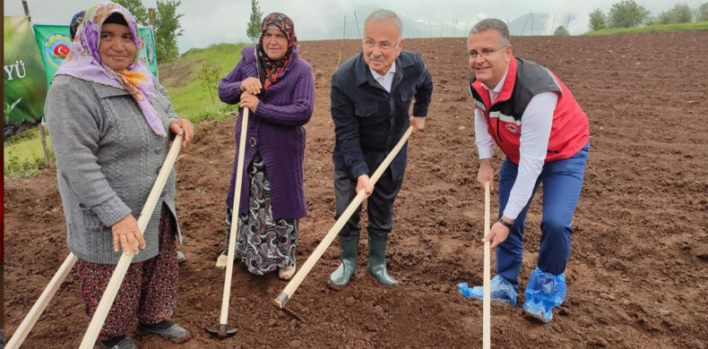 Büyükşehir Belediye Başkanı Hilmi Güler Akkuş Şeker Fasülyesi Ekti