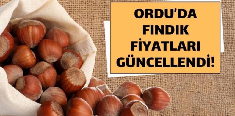 ordu fındık fiyatları