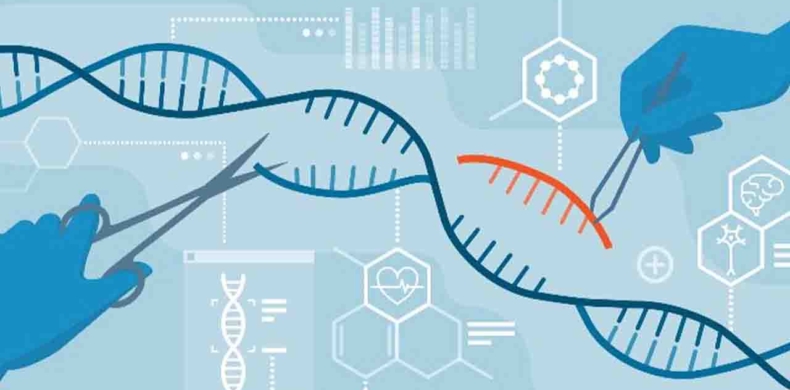 CRISPR Nedir