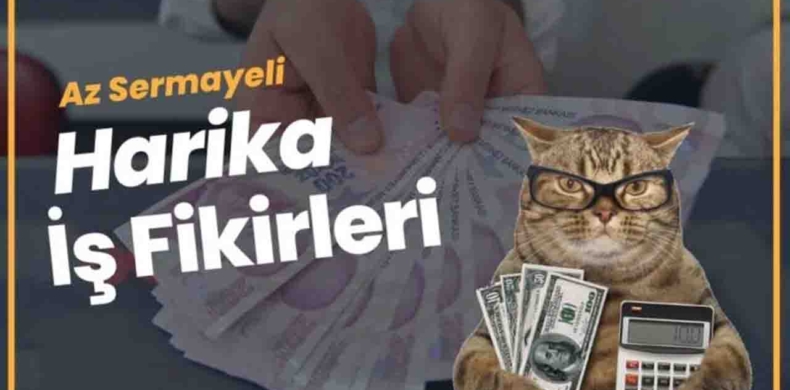 En Karlı İş Fikirleri